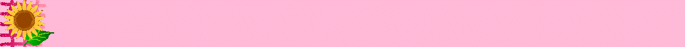 Border:Pink