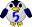 Penguin_5