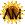 Sunflower_a