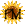 Sunflower_p